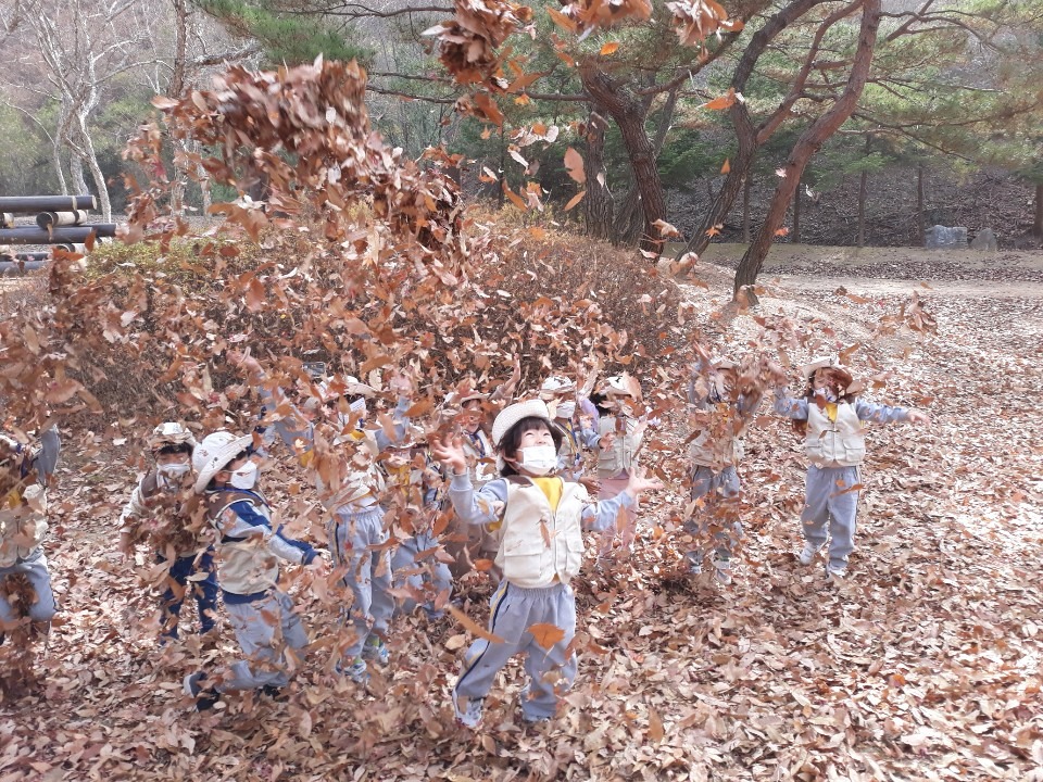 파주시 유아숲체험원 체험