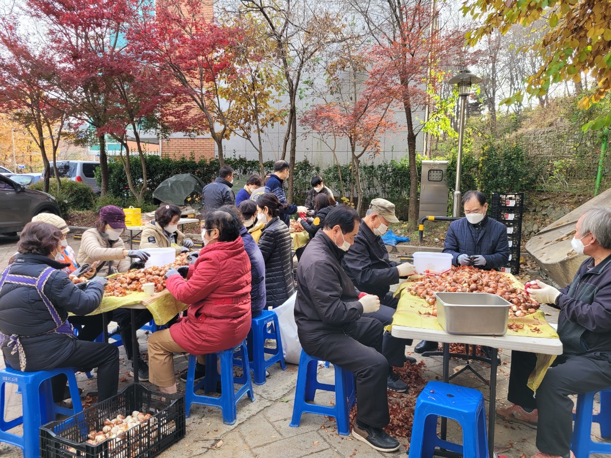 금촌2동 내년 새봄맞이 튤립꽃밭 조성 완료