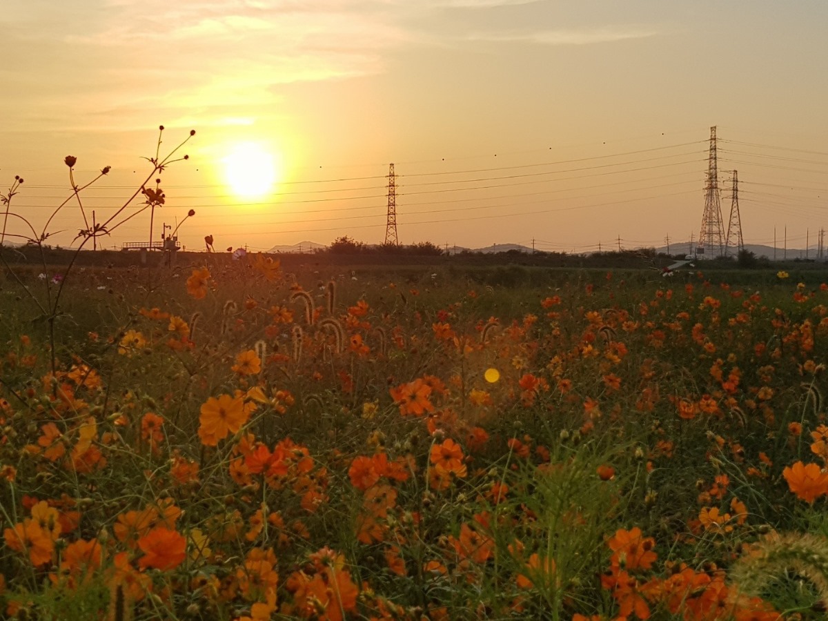 파주 문산노을길